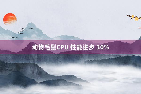 动物毛鬃CPU 性能进步 30%